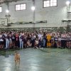 estudiantina 4